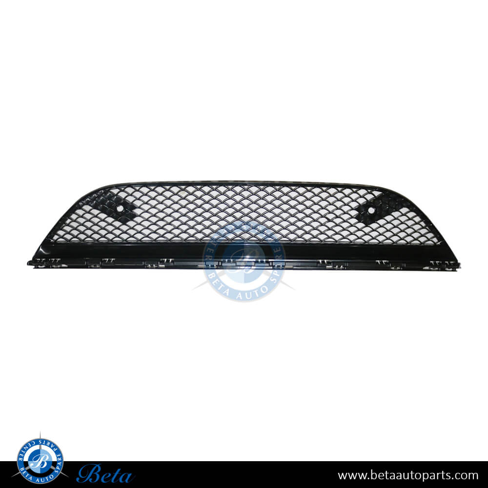Front Bumper Lower Grille Normal AMG for Mercedes S-Class W222 2018-2020 models, Part Number 2228857100 Front Bumper Lower Grille Normal AMG for Mercedes S-Class W222 2018-2020 models, Part Number 2228857100
